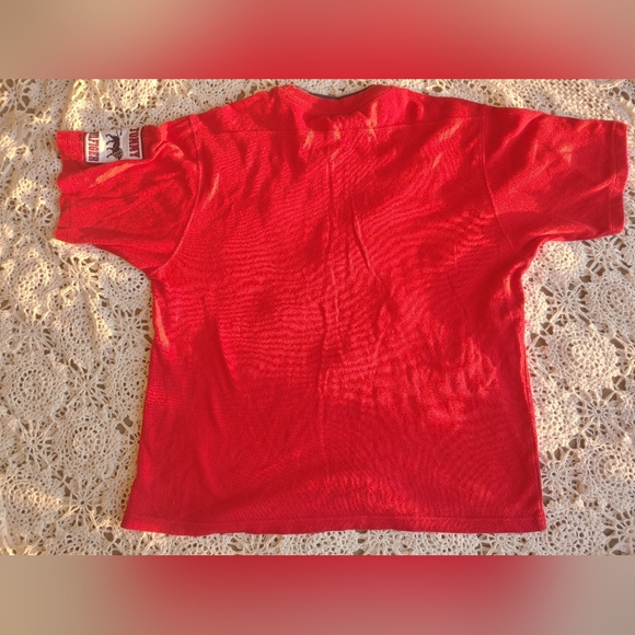 Rare Vintage Tommy Hilfiger 90s Lion Patch Shirt - Picture 6 of 6